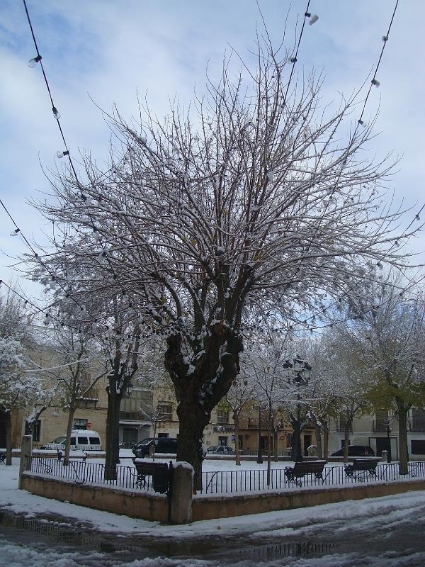 NIEVE - 14 - 12 - 09 032